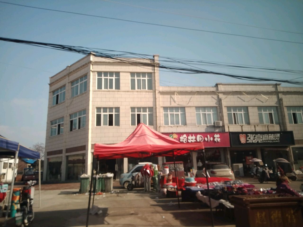 沈丘县赵德营镇格林田小花(赵德营店)