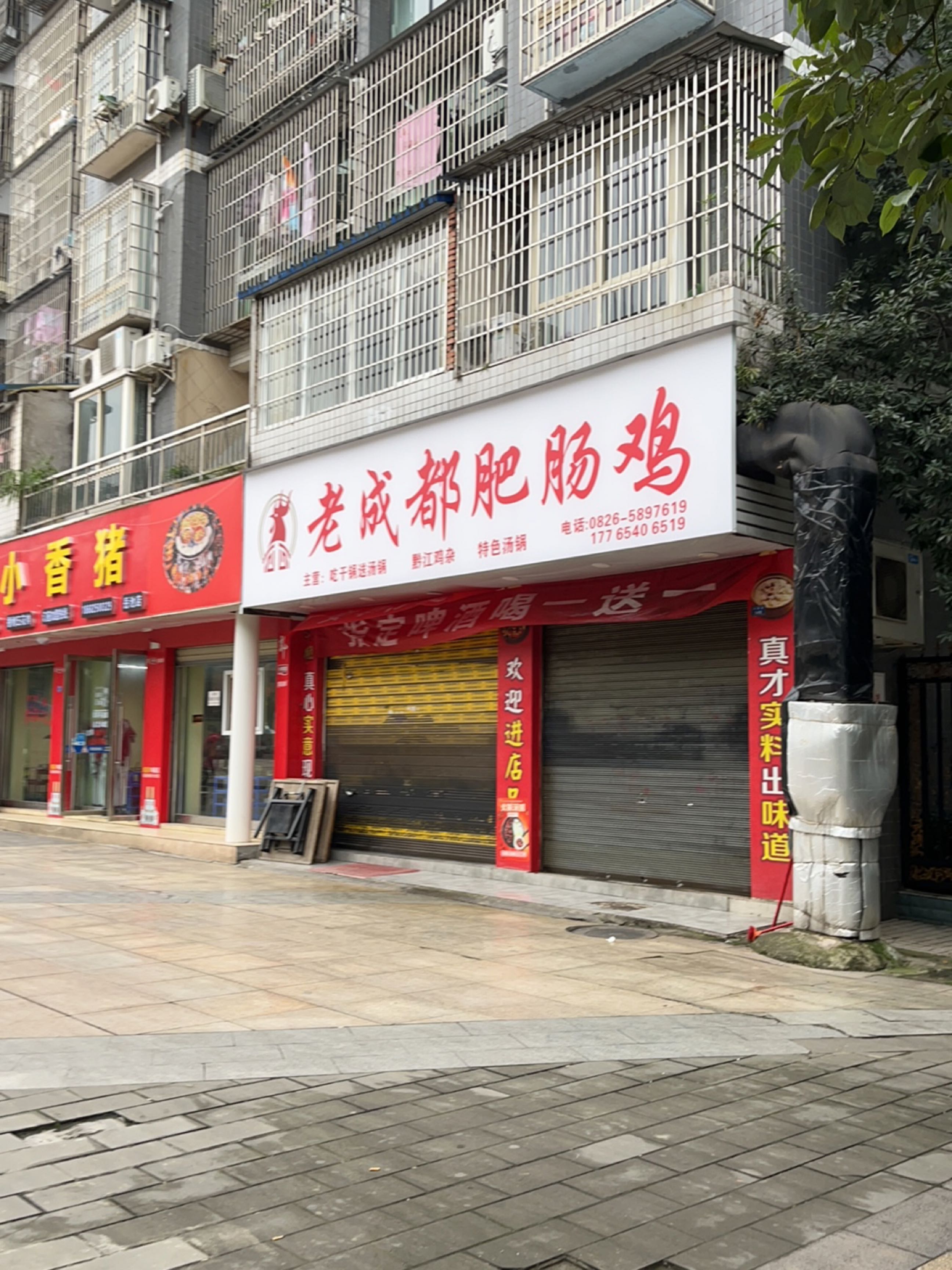 火盆小香猪(岳池店)