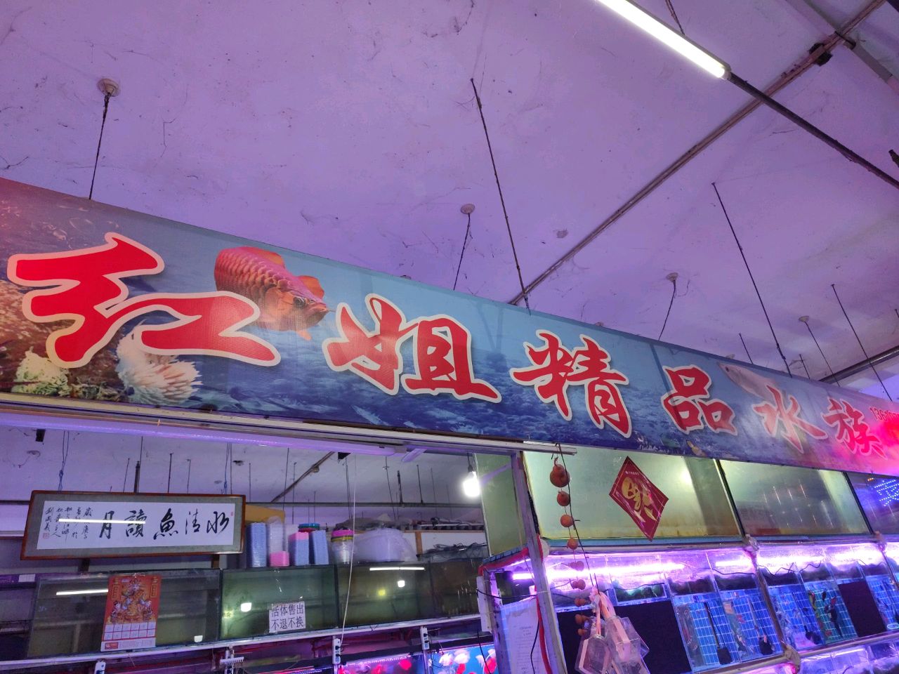 红姐精品水族