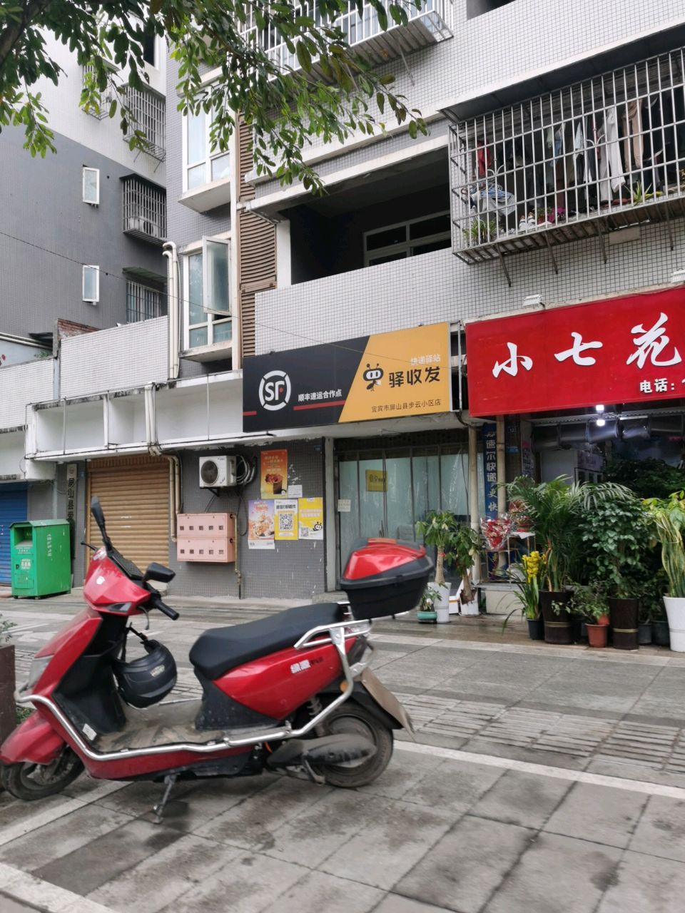 小七花艺(步云小区店)