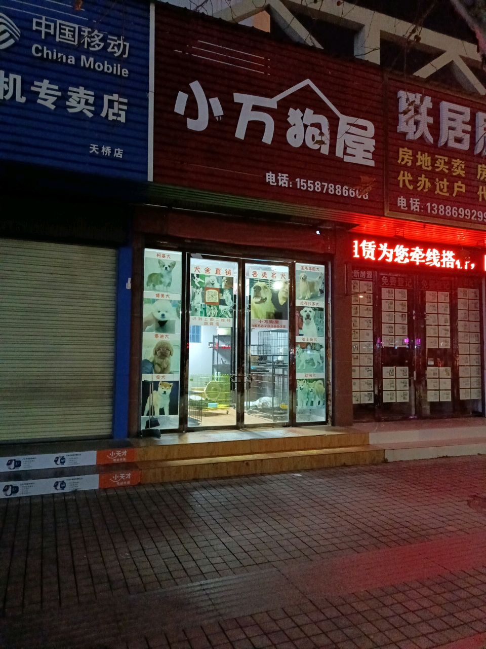 小万狗屋