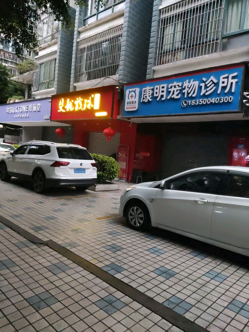 双龙戏珠(福州六一路专卖店)