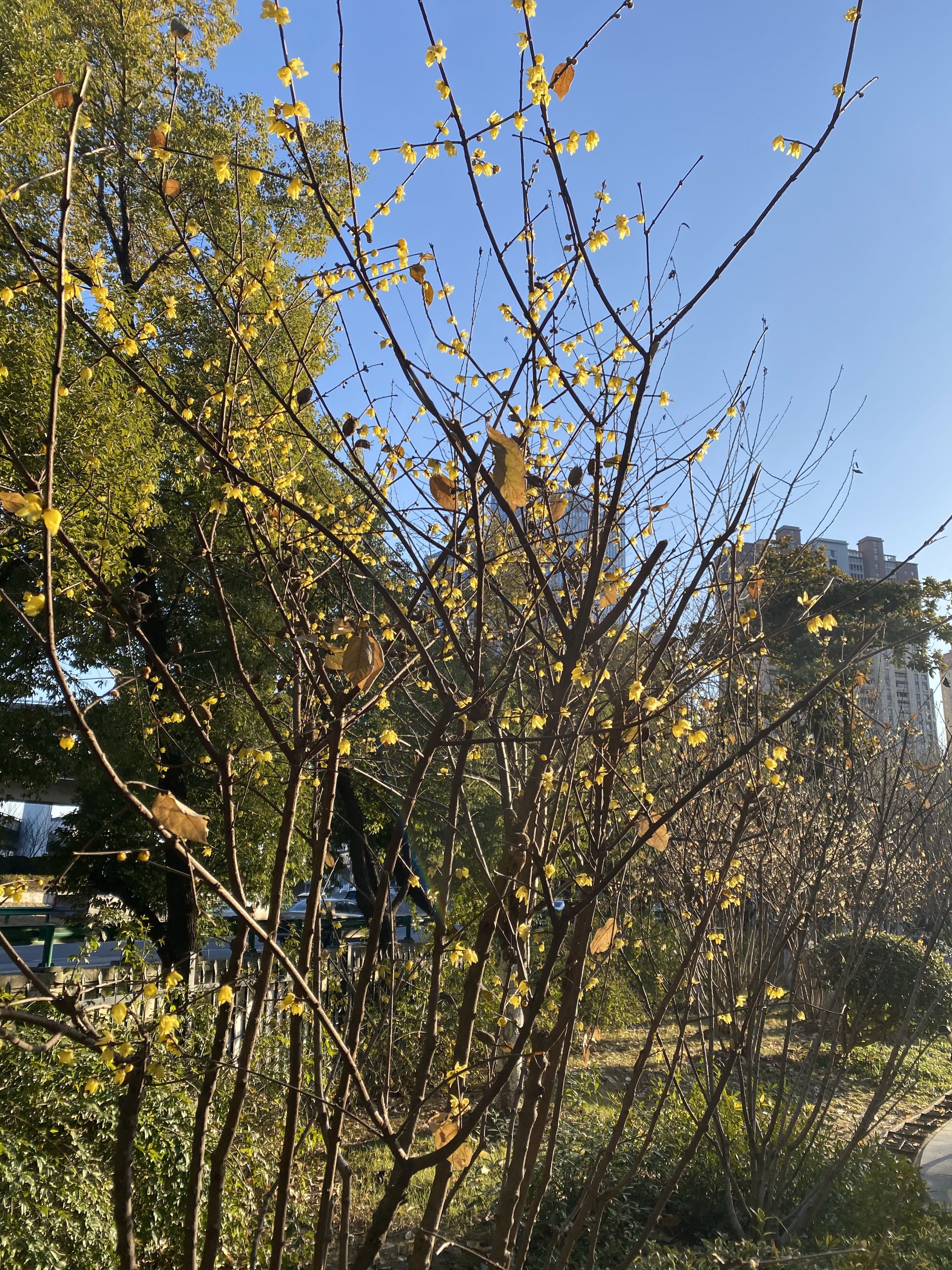 五里墩法治口袋游园