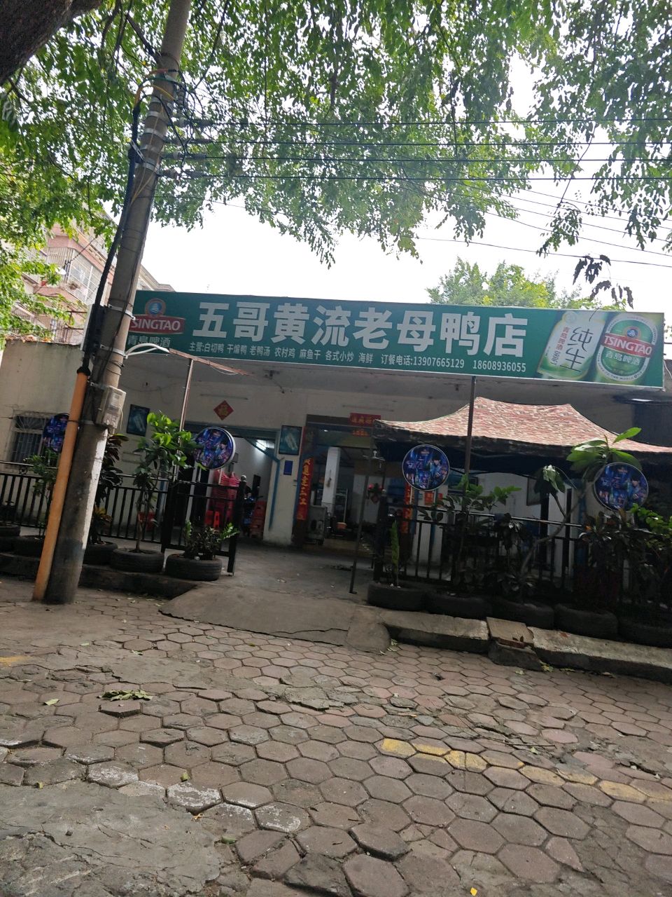 五哥黄流老母鸭店
