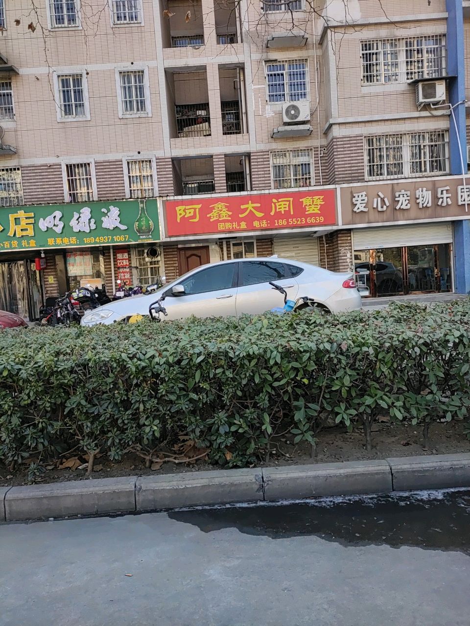 阿鑫大闸蟹