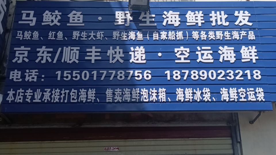 马鲛鱼野生海鲜批发(真空打包空运快递发货)