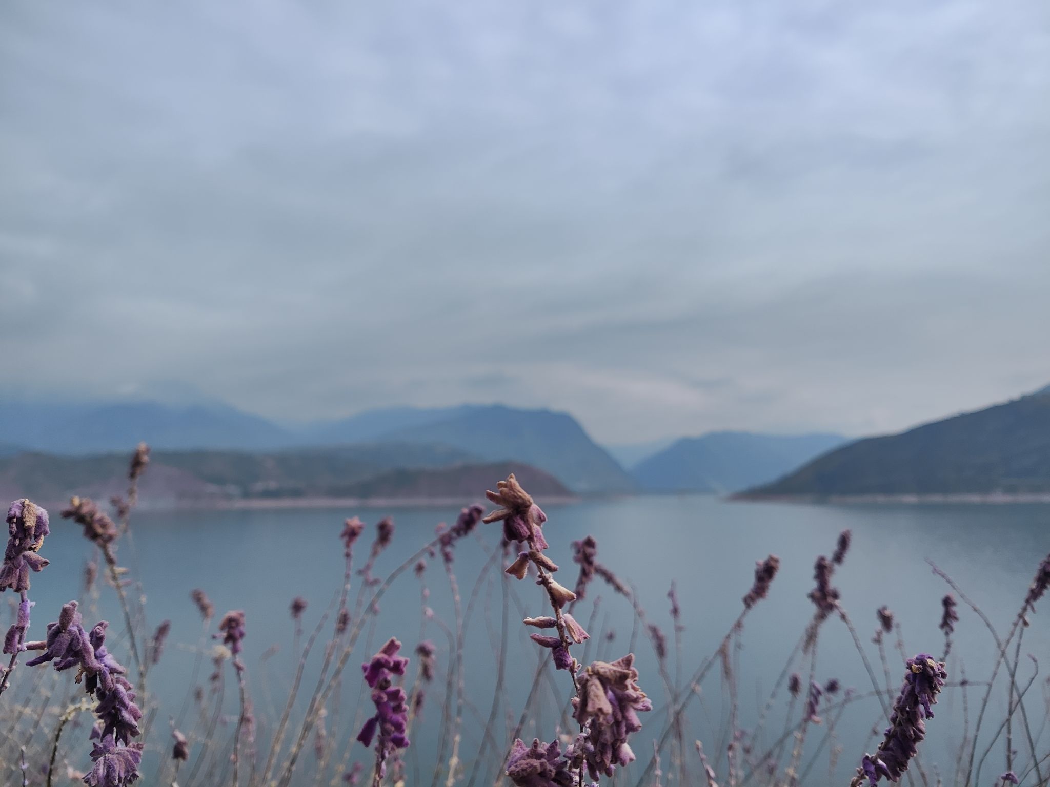 湖光半岛国际旅游度假区