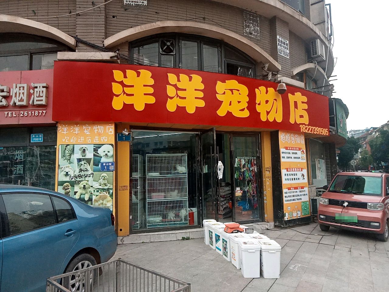 洋洋宠物店(凯旋帝景店)