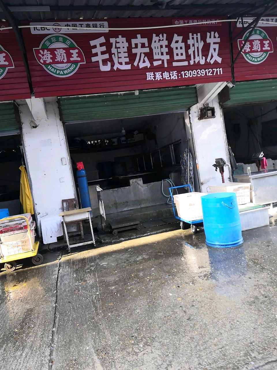 毛建宏鲜鱼批发