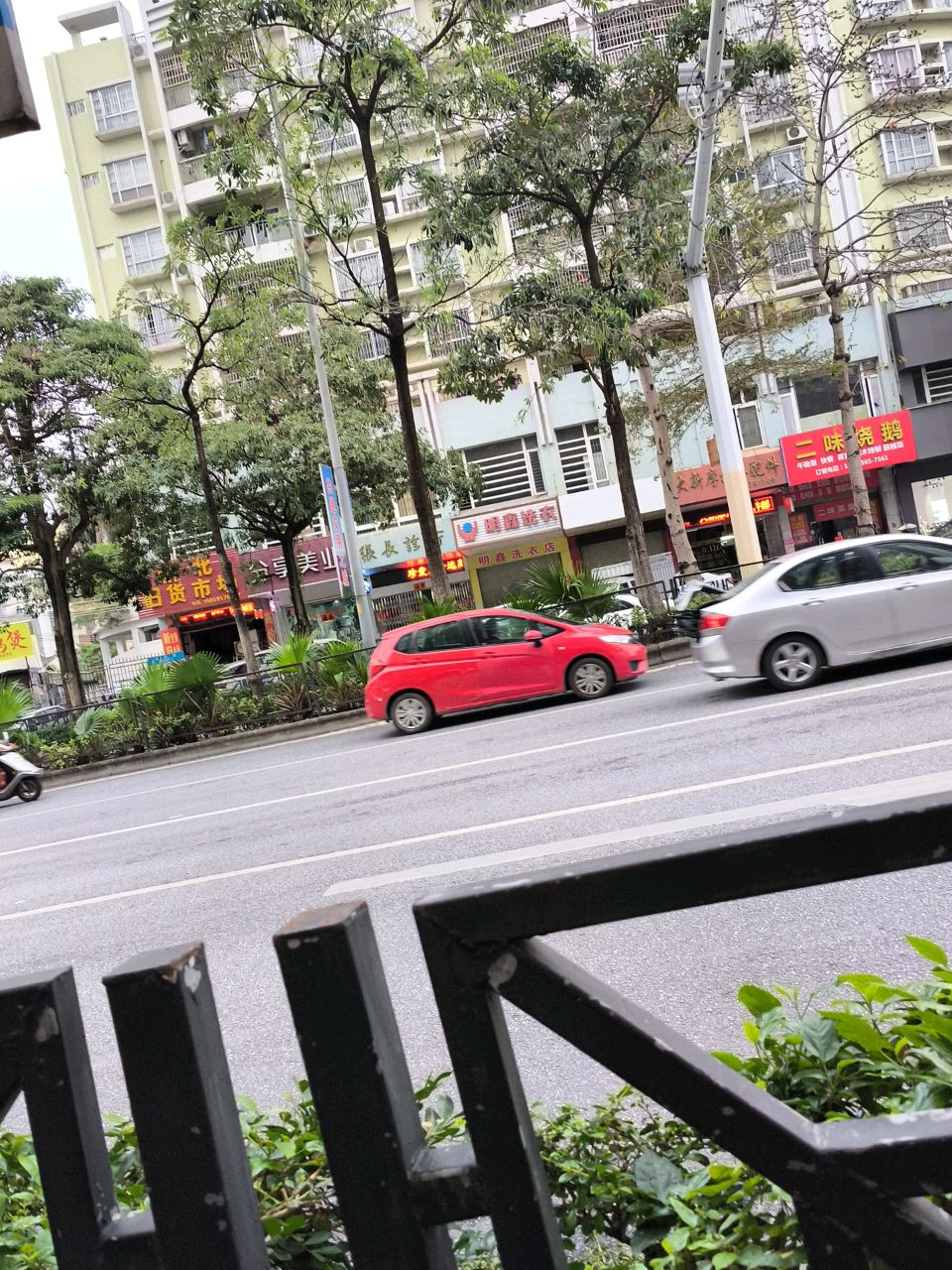 二味烧鹅(江南雅居店)