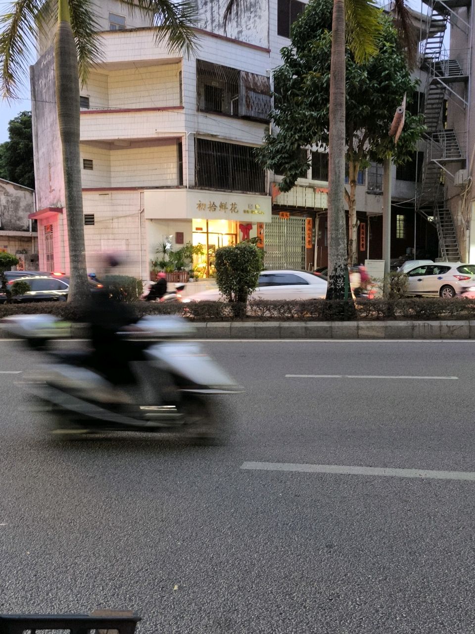 初拾鲜花