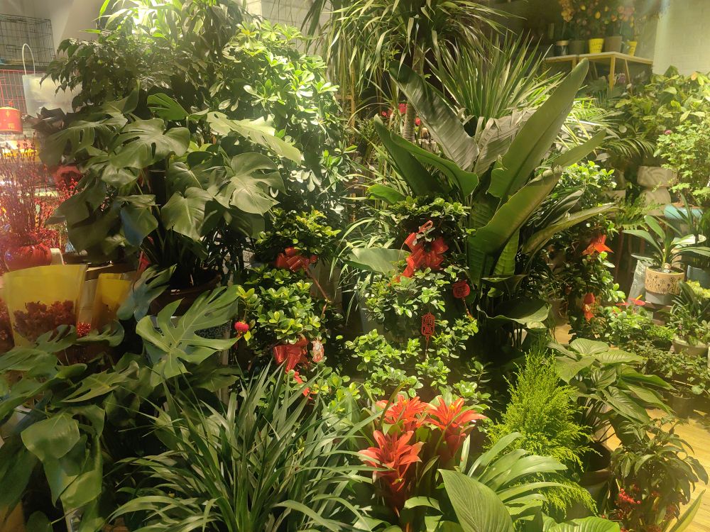 针浩花艺水族生活馆(幸福时光五期店)