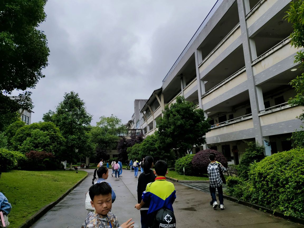 景宁畲族自治县民族小学