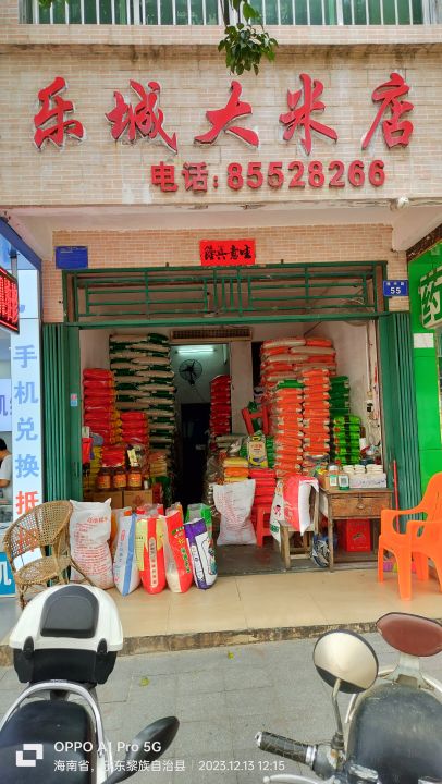 乐东乐城黑蚂蚁鞋业店