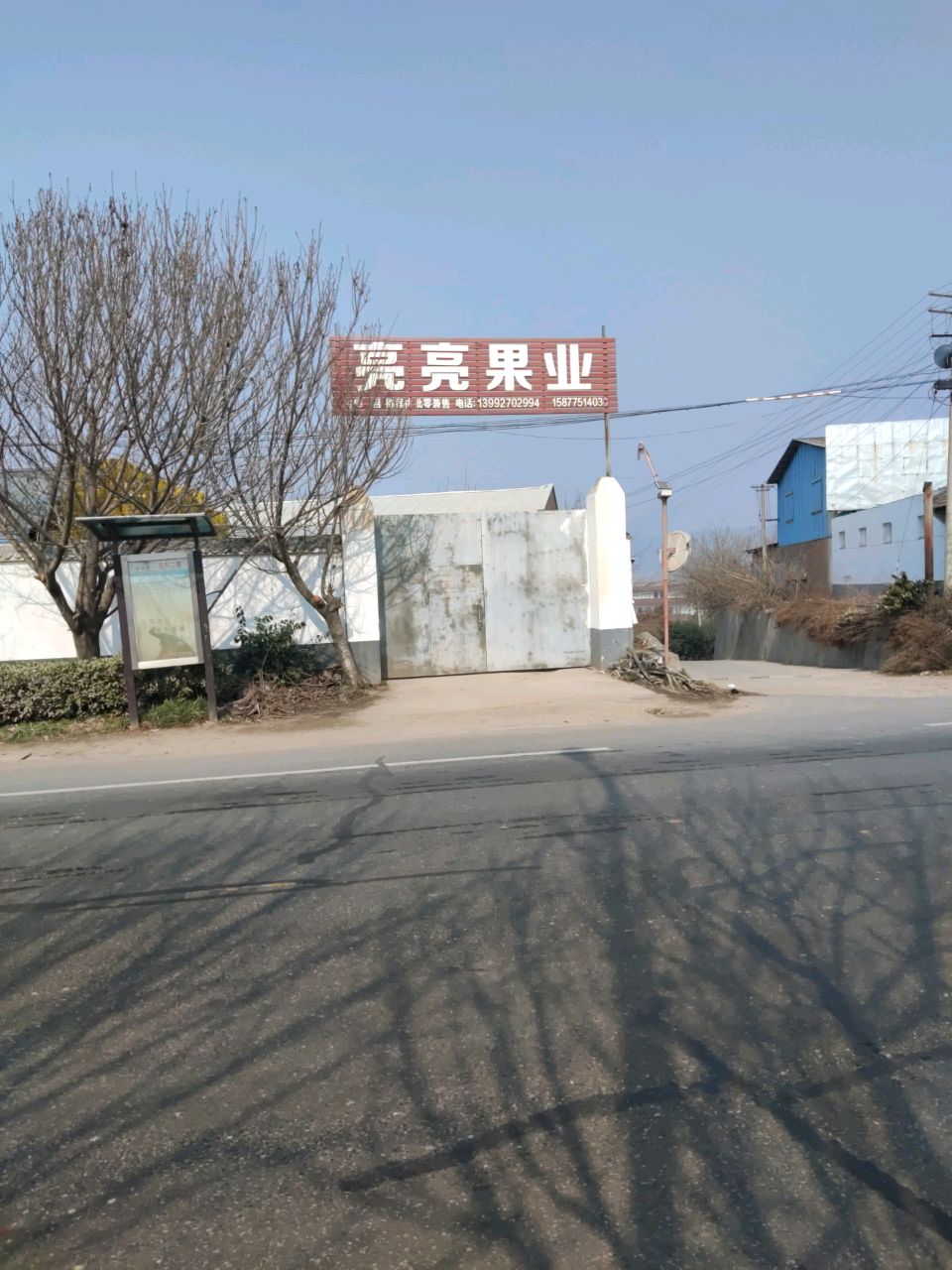 亮亮果业
