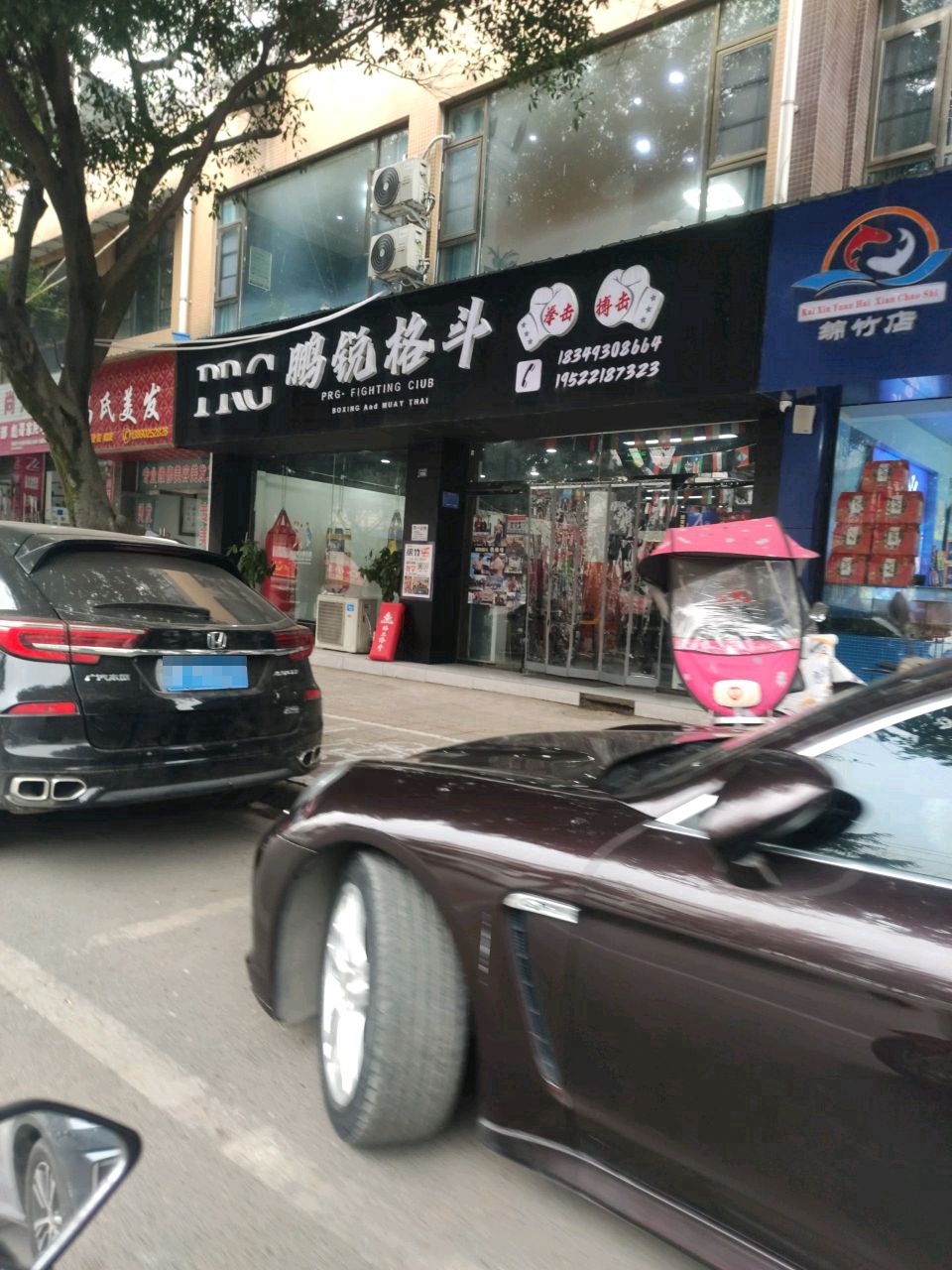 鹏锐格斗