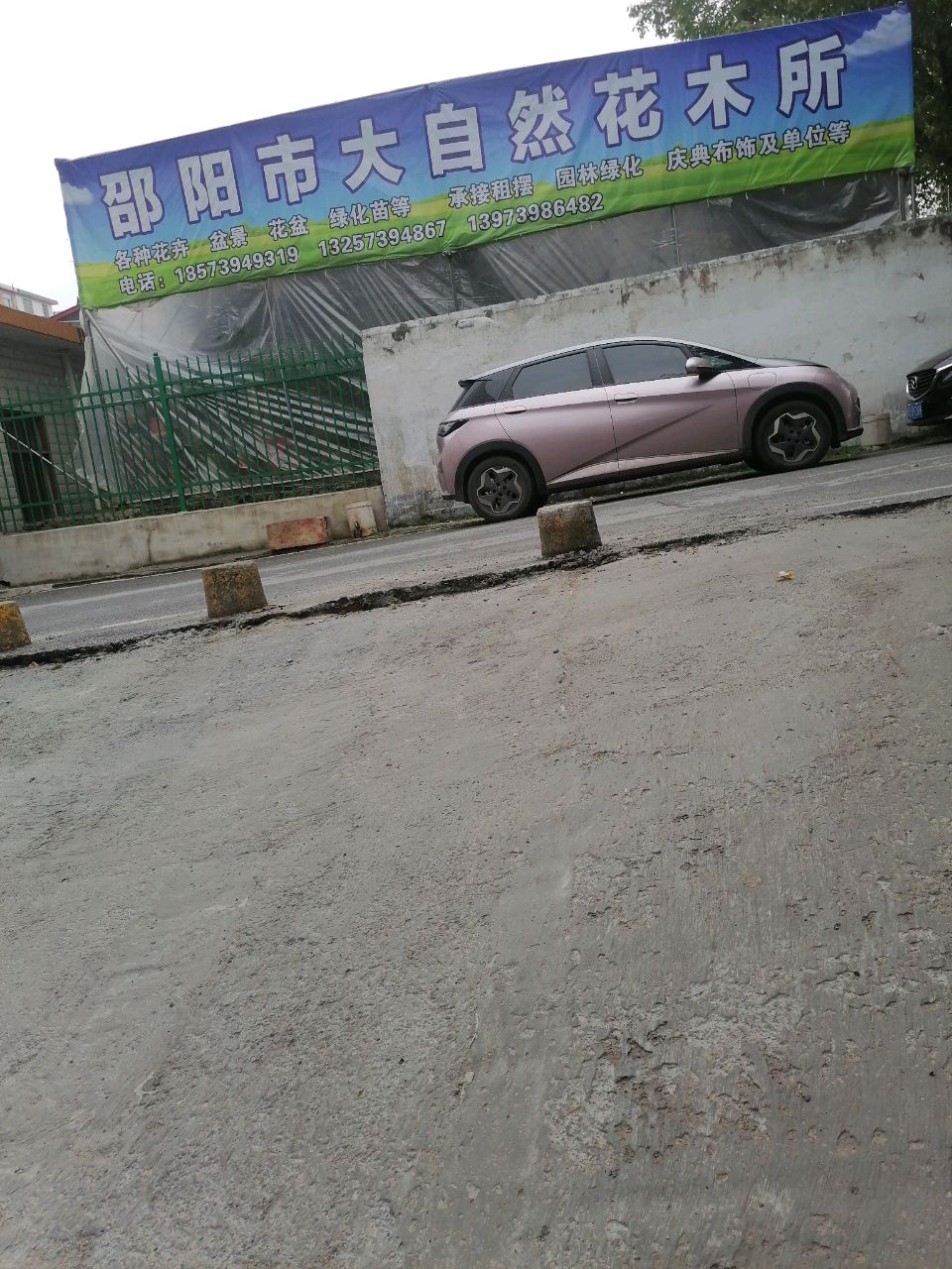 邵阳市大自然花木所
