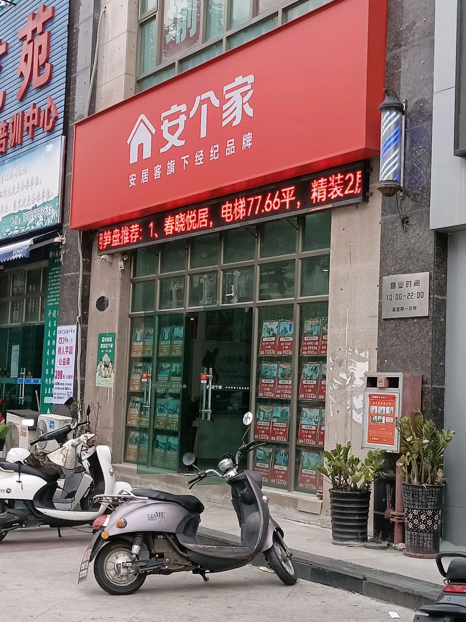 舜杰跆拳道(白蕉艺苑馆)