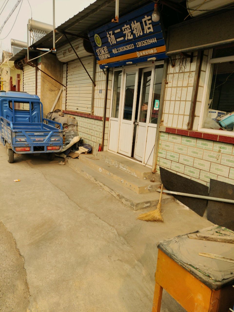 杨二宠物店