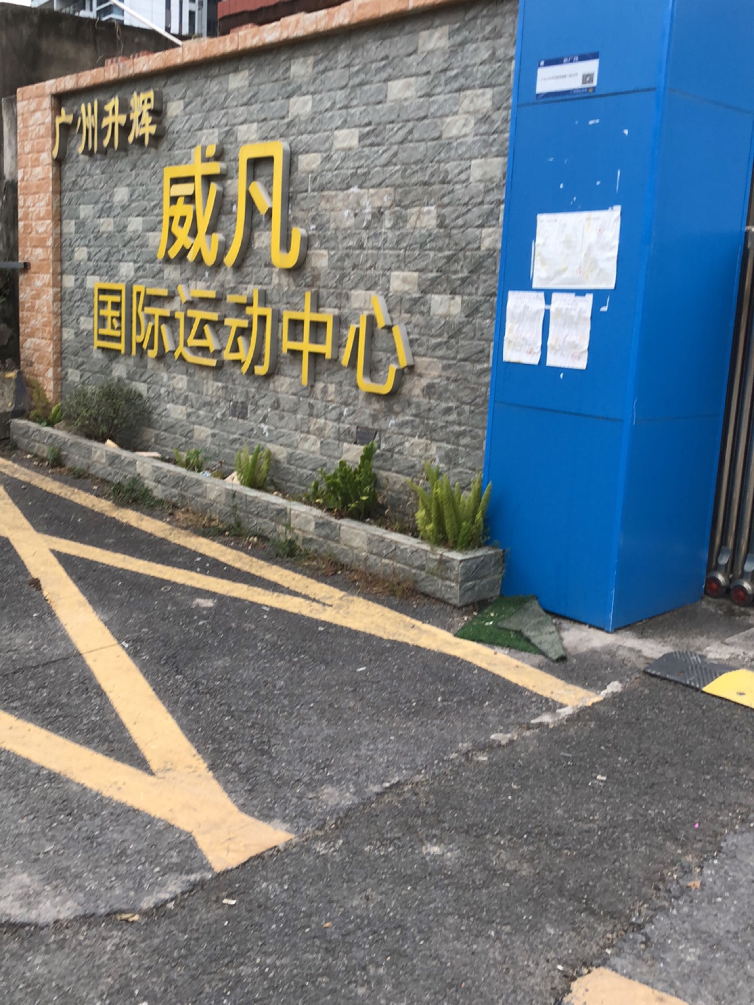 威凡国际运动学院