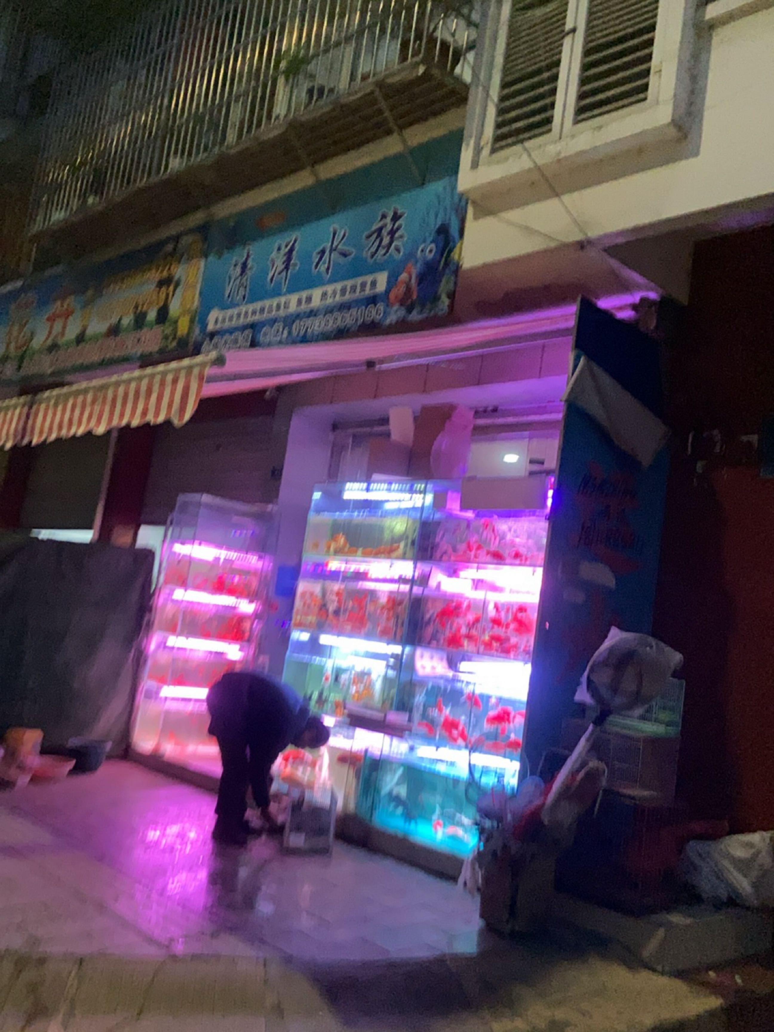 清洋水族(常乐居店)