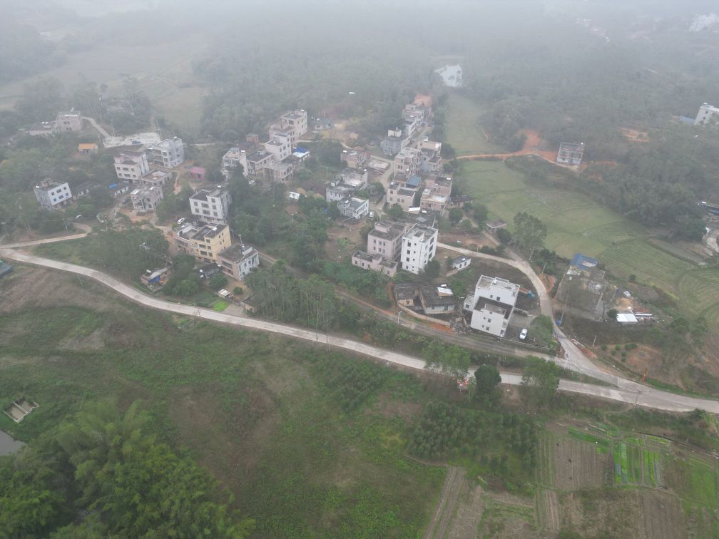 廉江市塘蓬镇新桥村