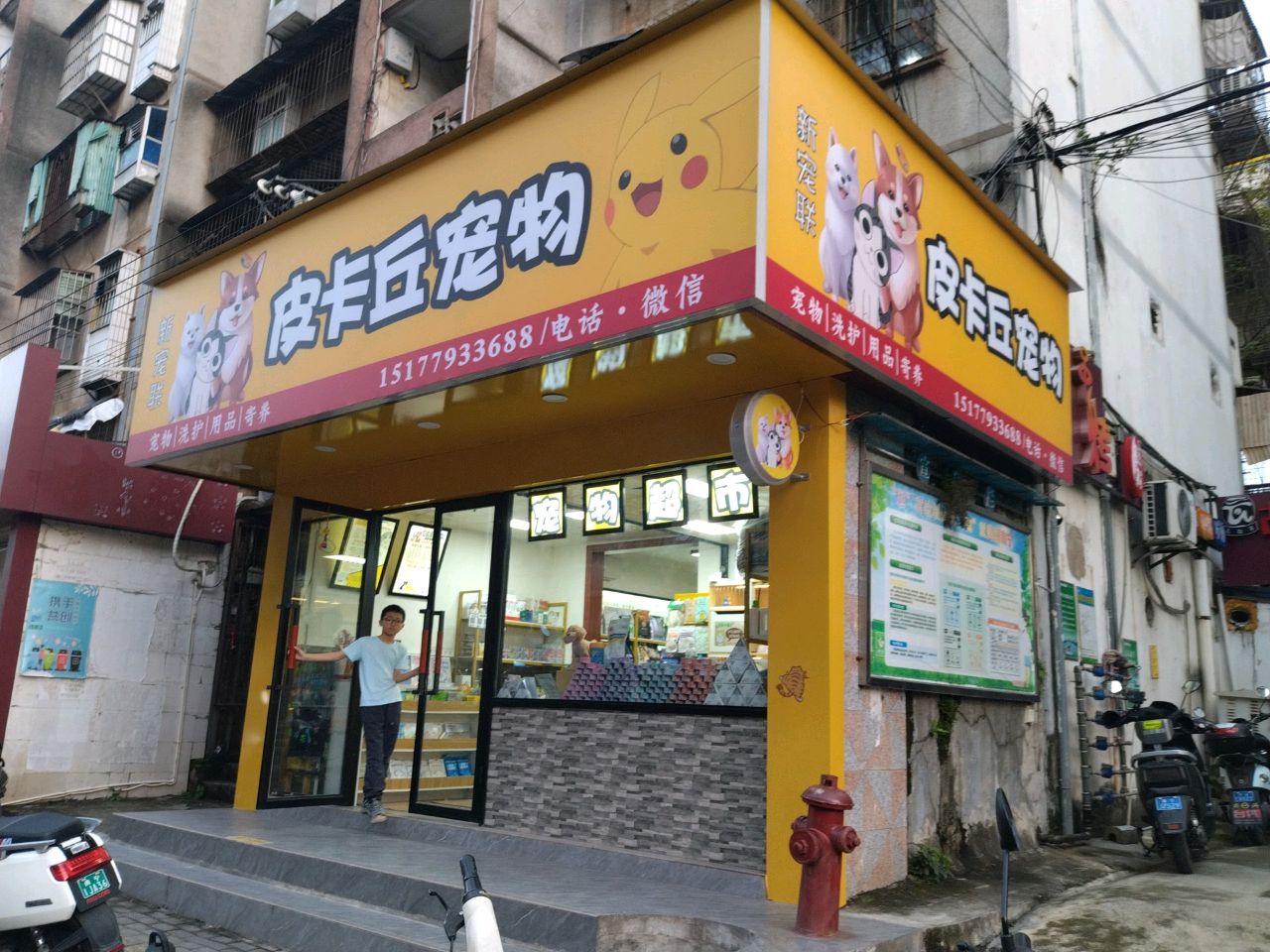 皮卡丘宠物