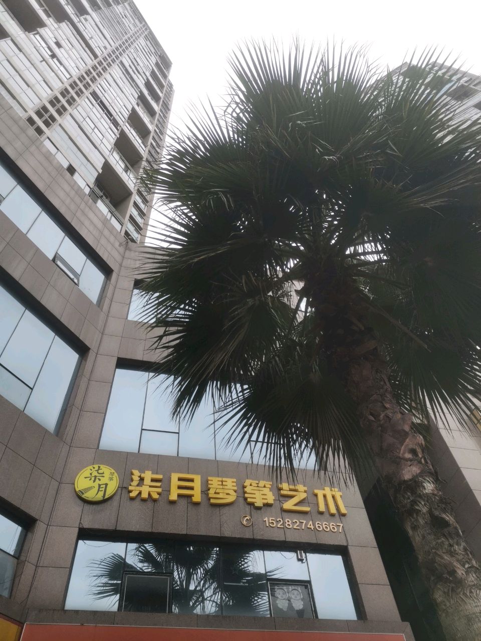 柒月琴筝艺术