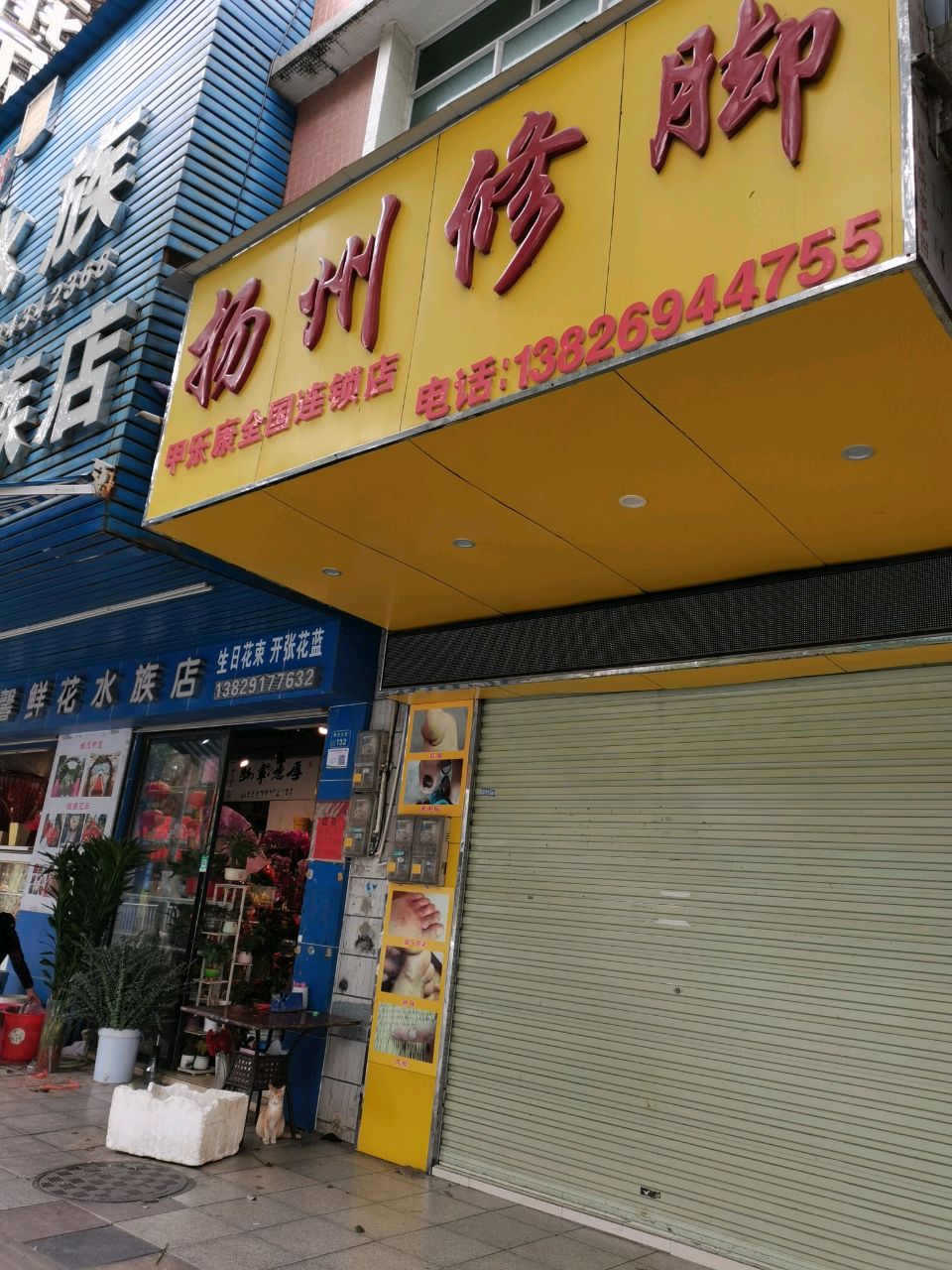 温馨鲜花水族店
