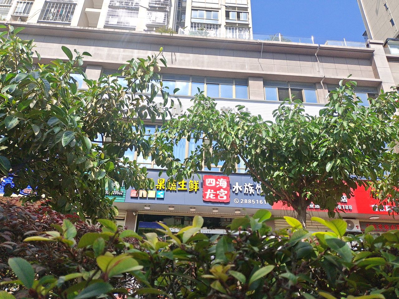 四海阳龙宫水族