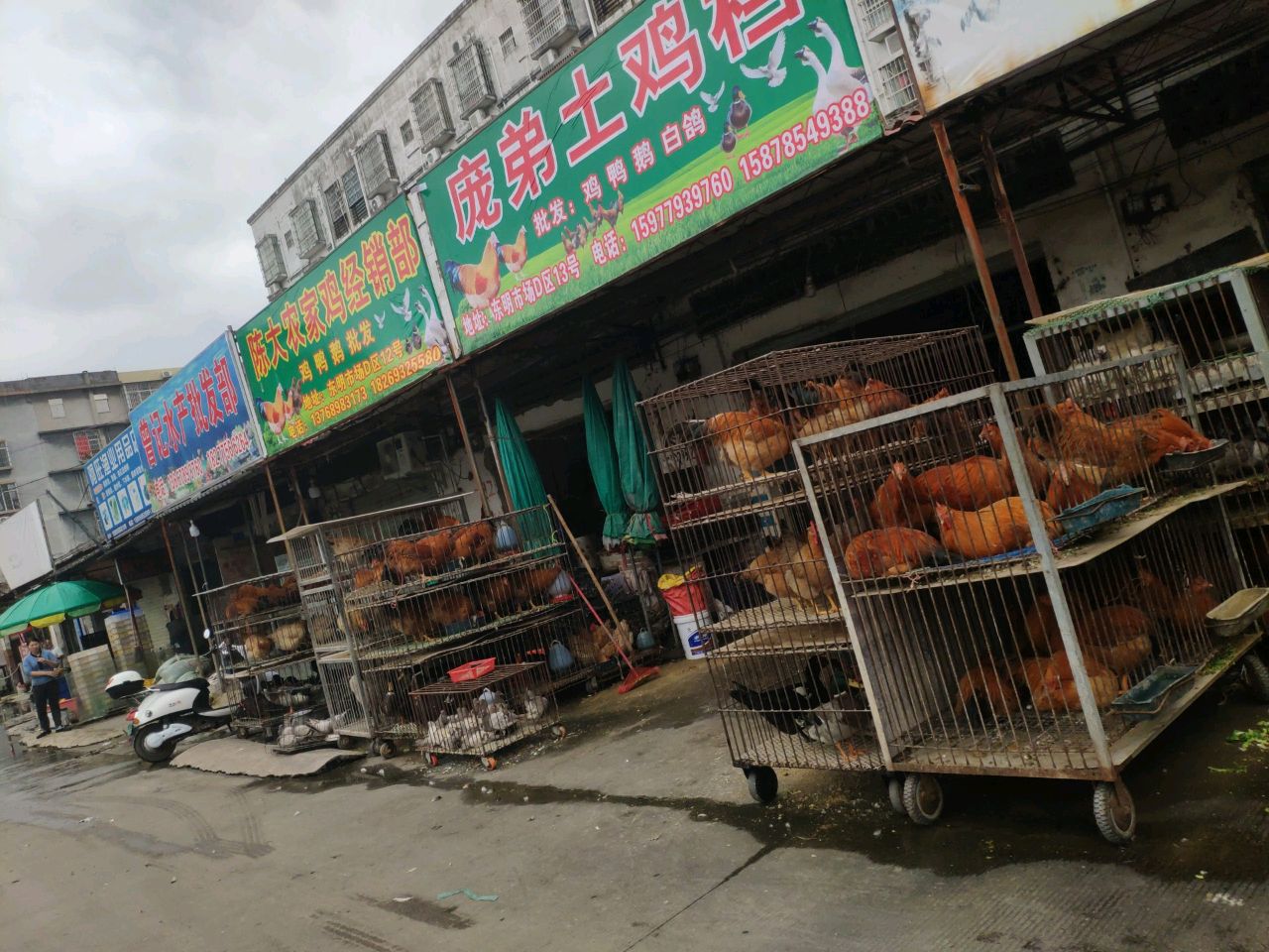 阿旺渔业用品店