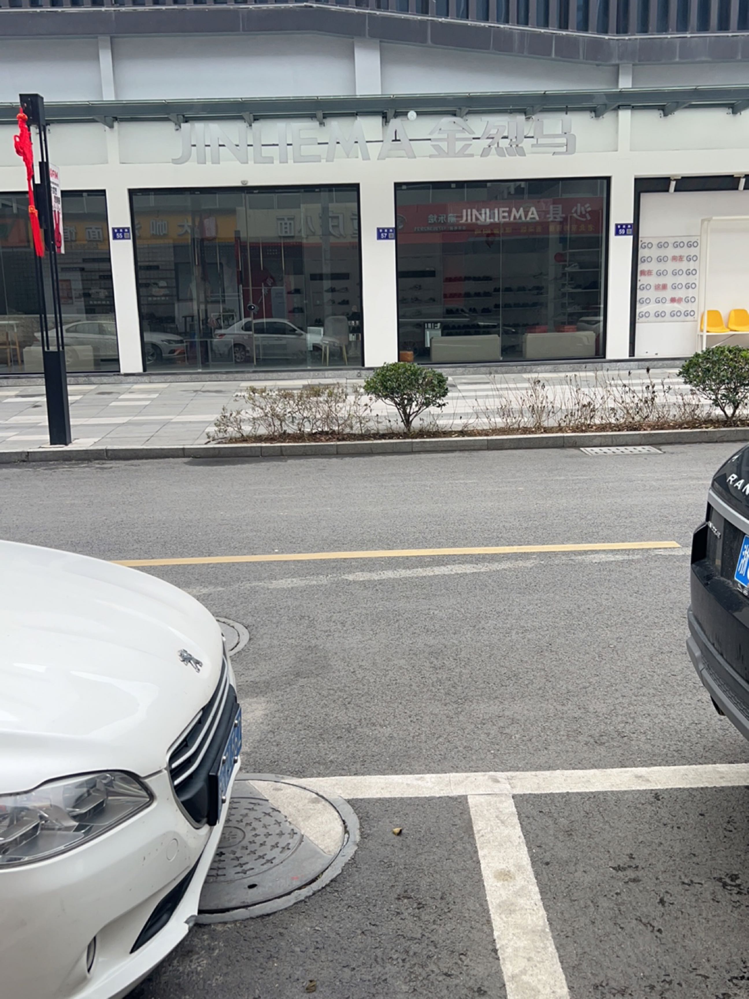 金烈马