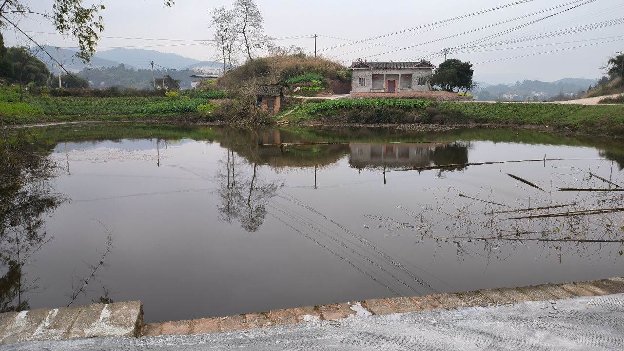 泸县喻寺镇兴隆村008号塘库