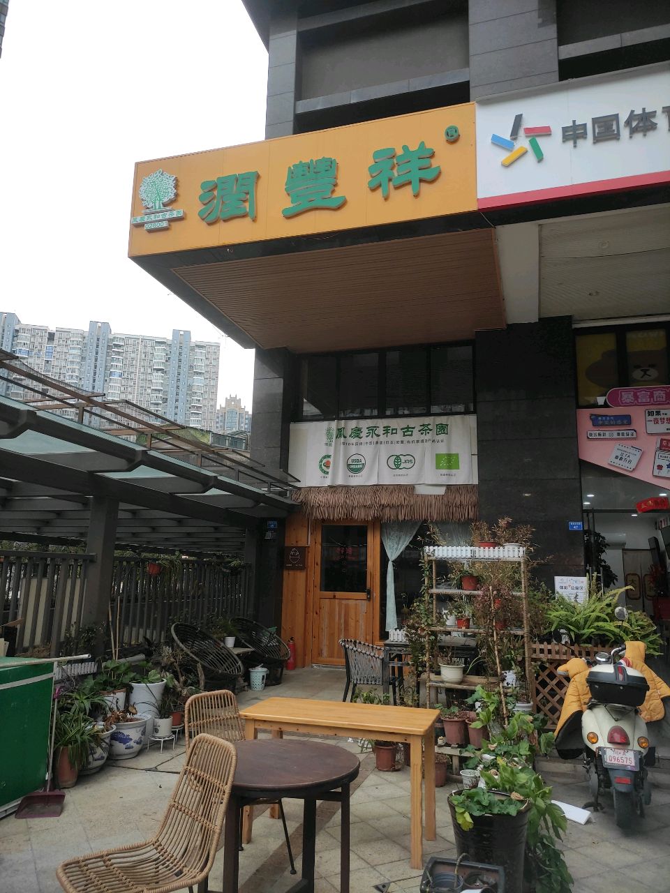 润丰祥古树茶