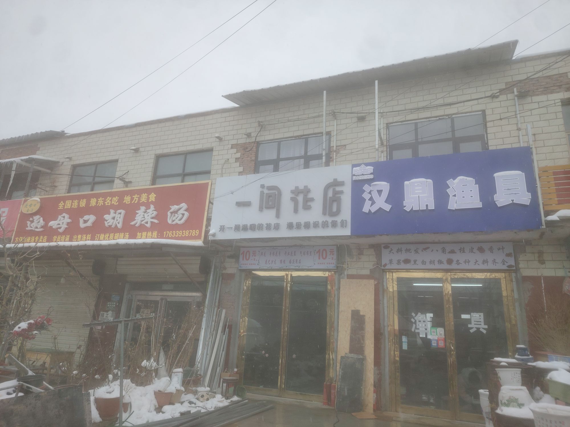 太康县板桥镇一间花店(S213店)