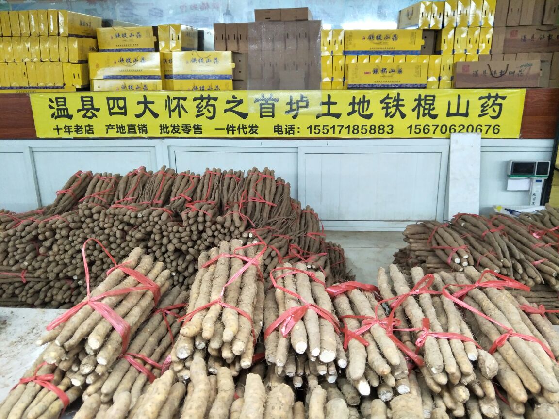 老赵温县铁棍山药(十年老店)