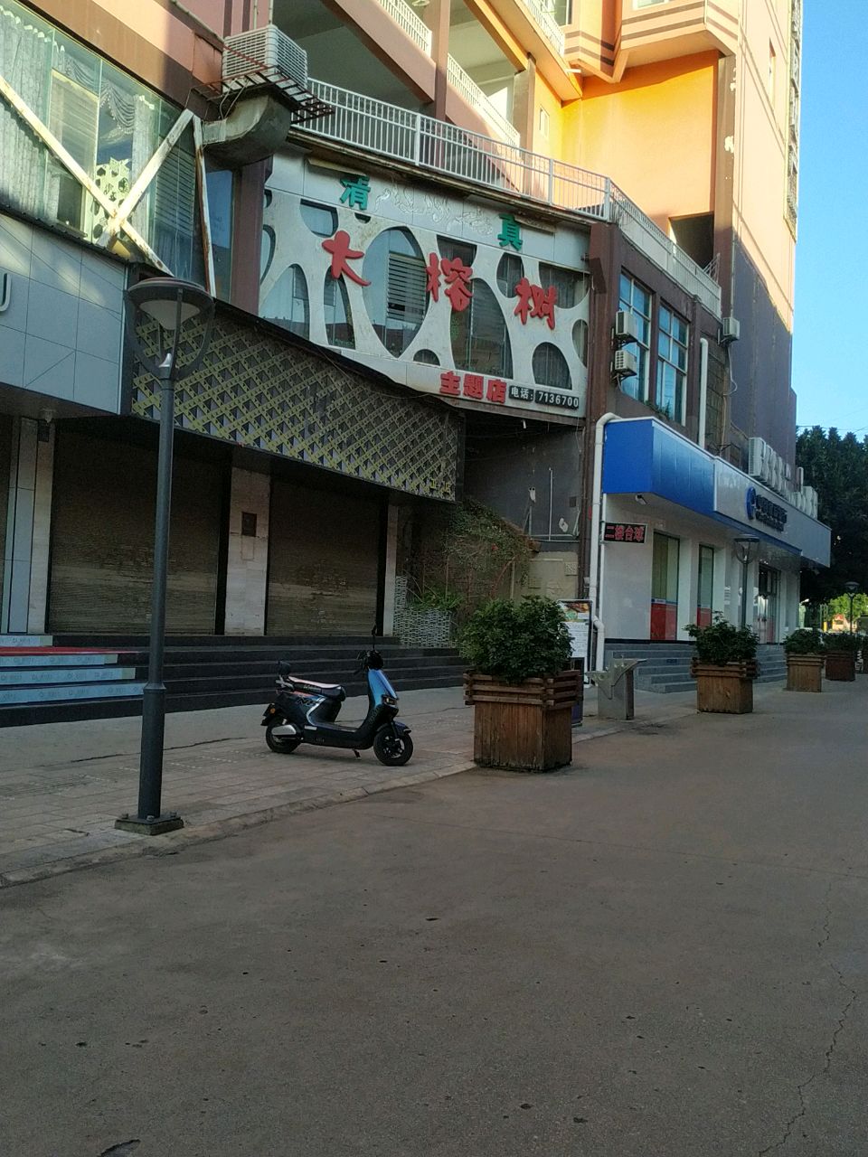 清真大榕树主题店