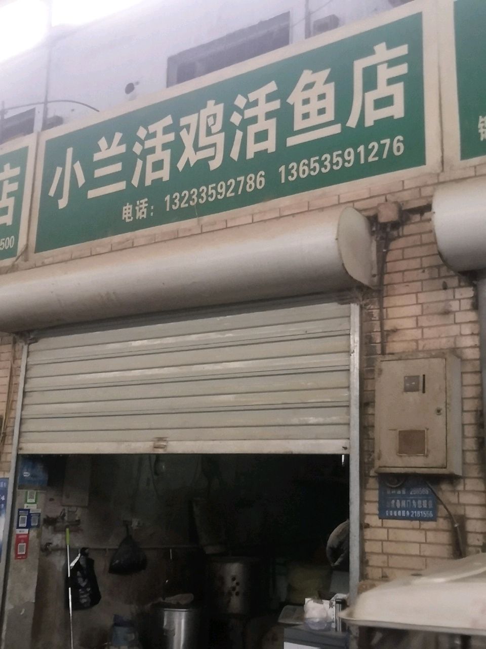小兰活鸡活鱼店