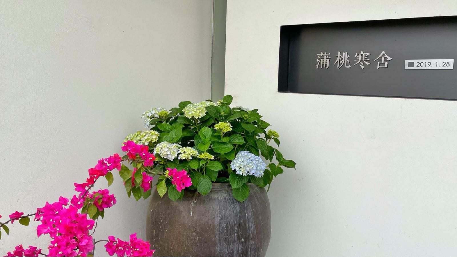蒲桃寒舍