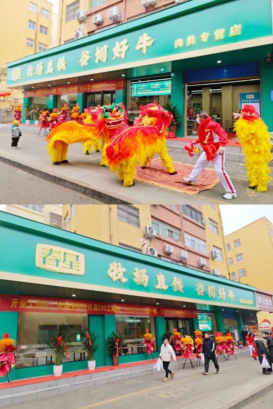 项城市春星牛肉专营店