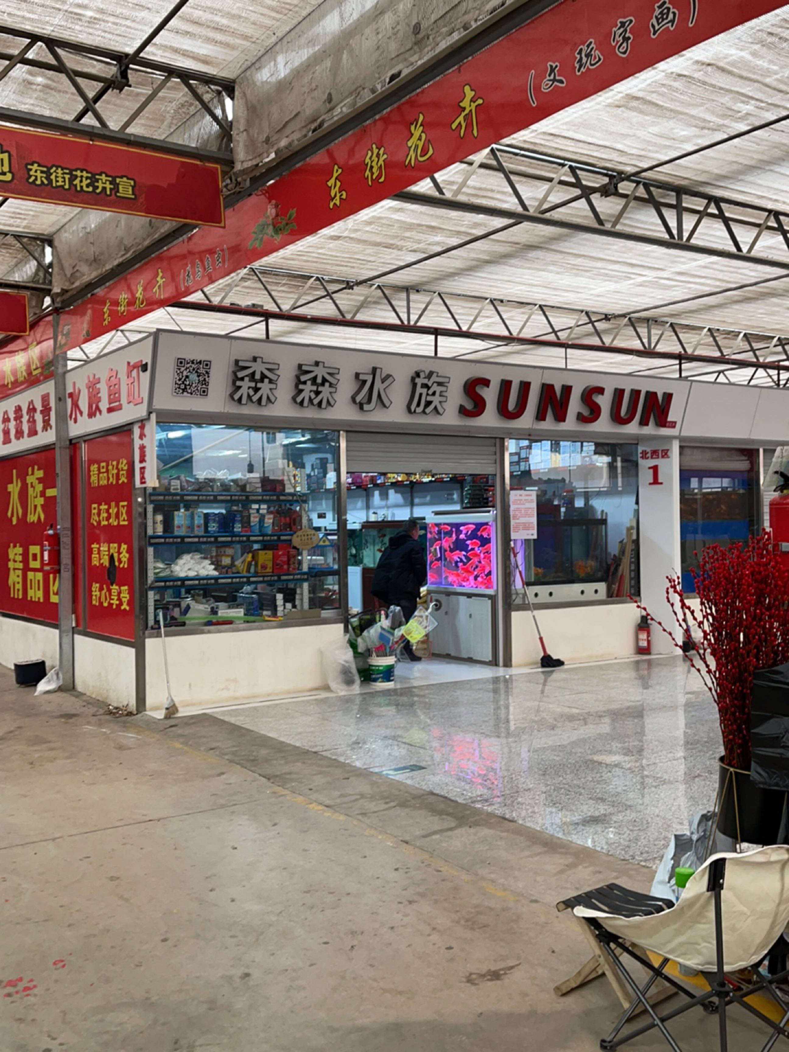 森森水族(东街花卉店)