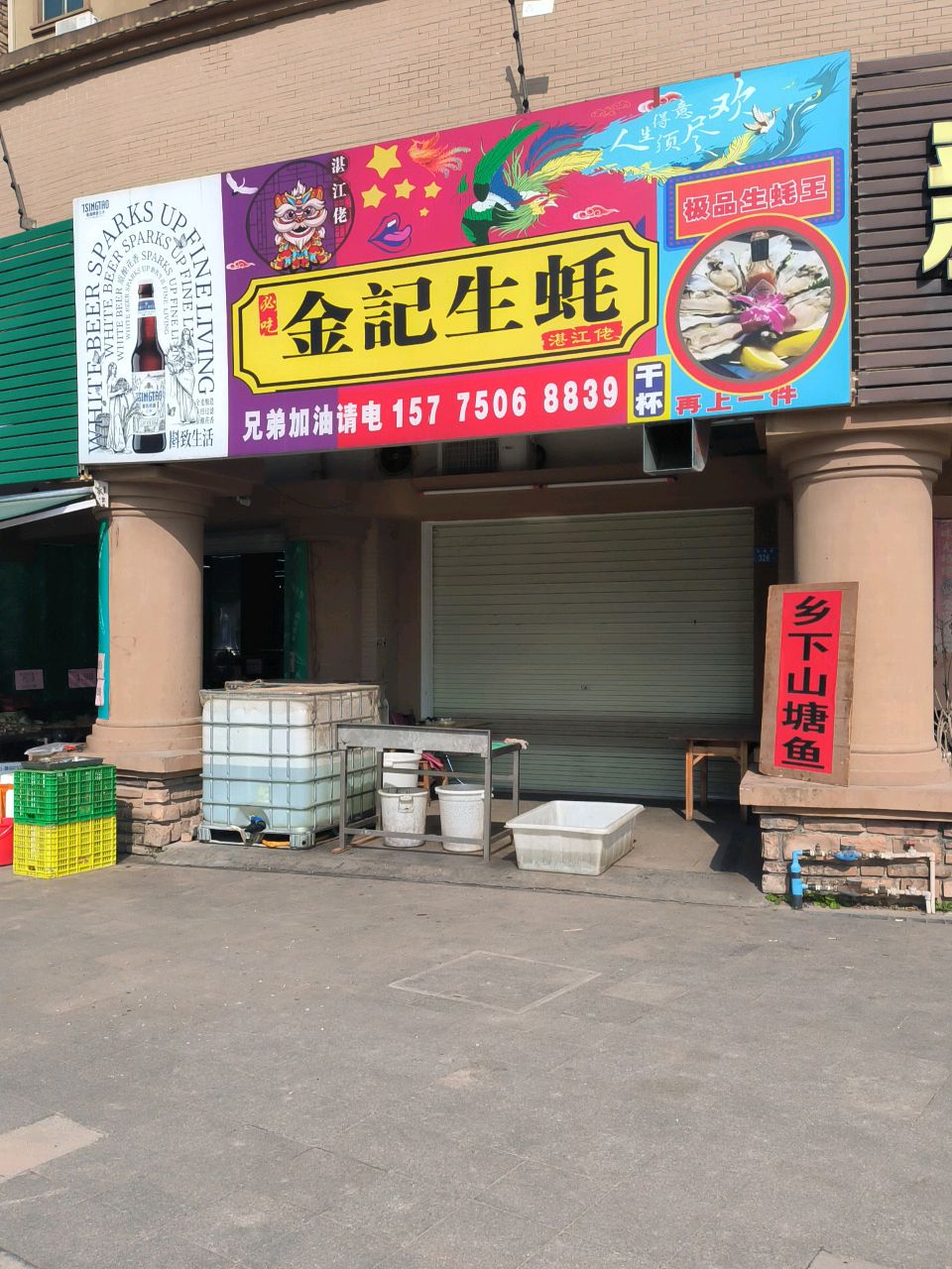 金记生蚝