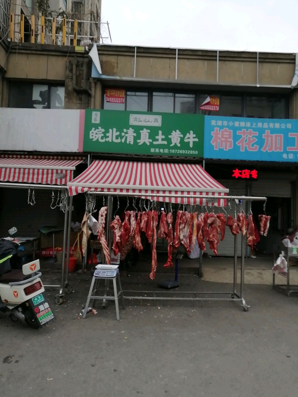 皖北清真土黄牛(天香苑二期东区店)
