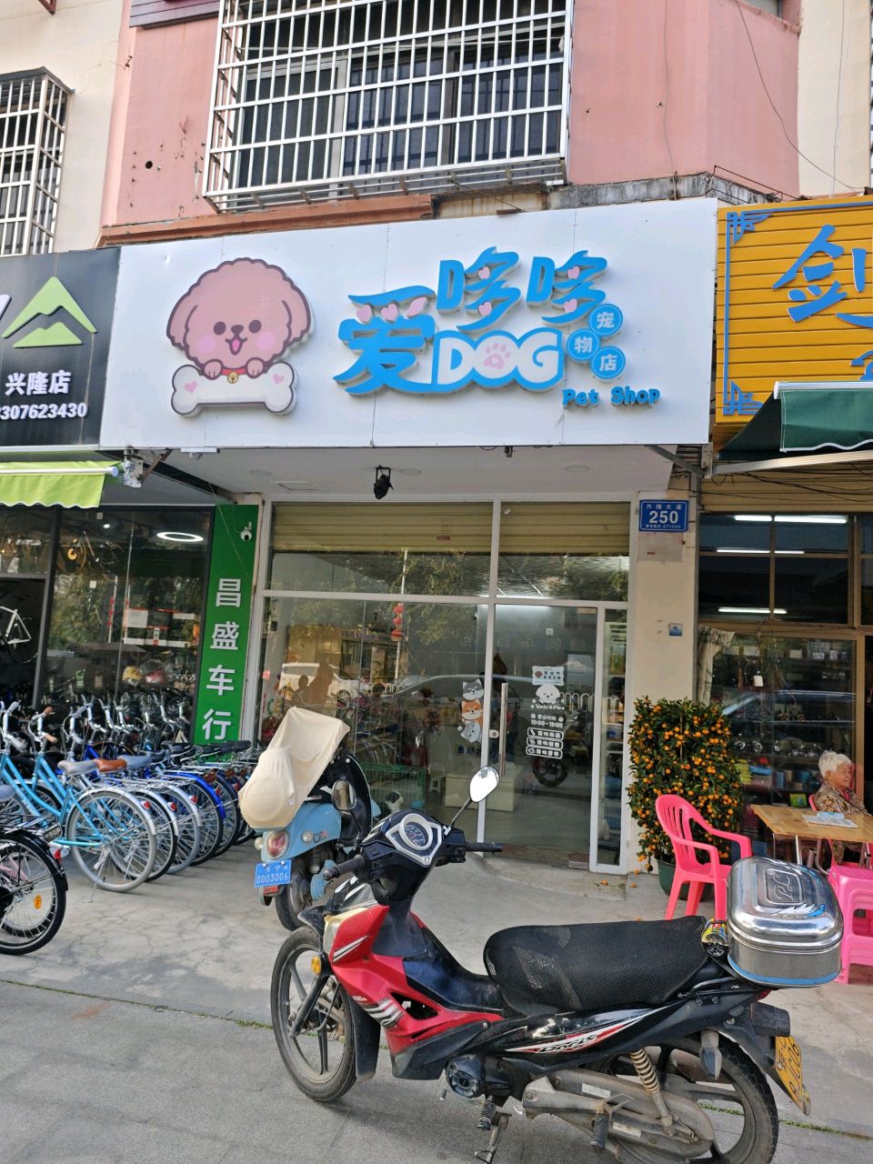 爱哆哆宠物店
