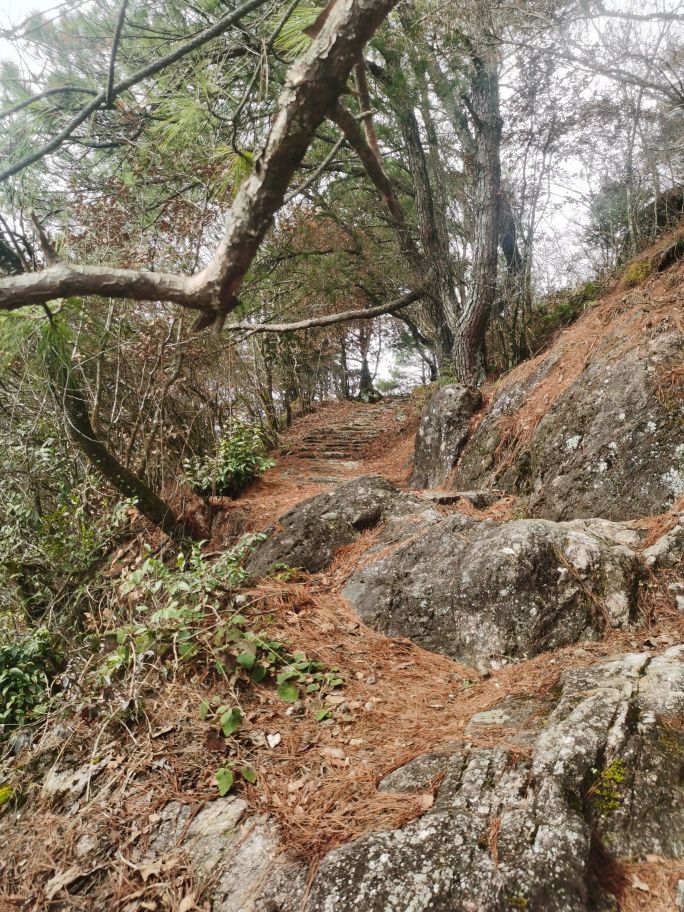 龙头山