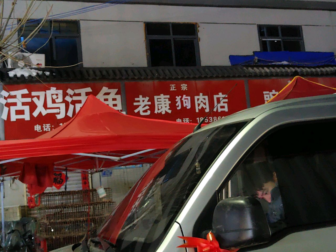 活鱼活虾