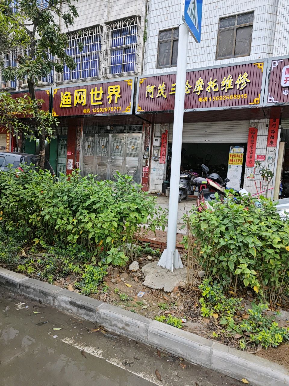 渔网世界