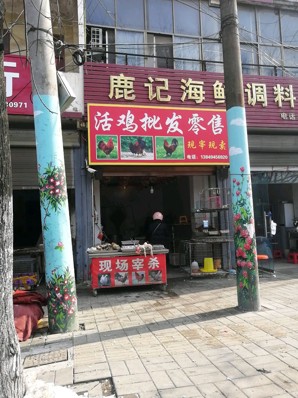 沈丘县槐店回族镇活鸡批发零售