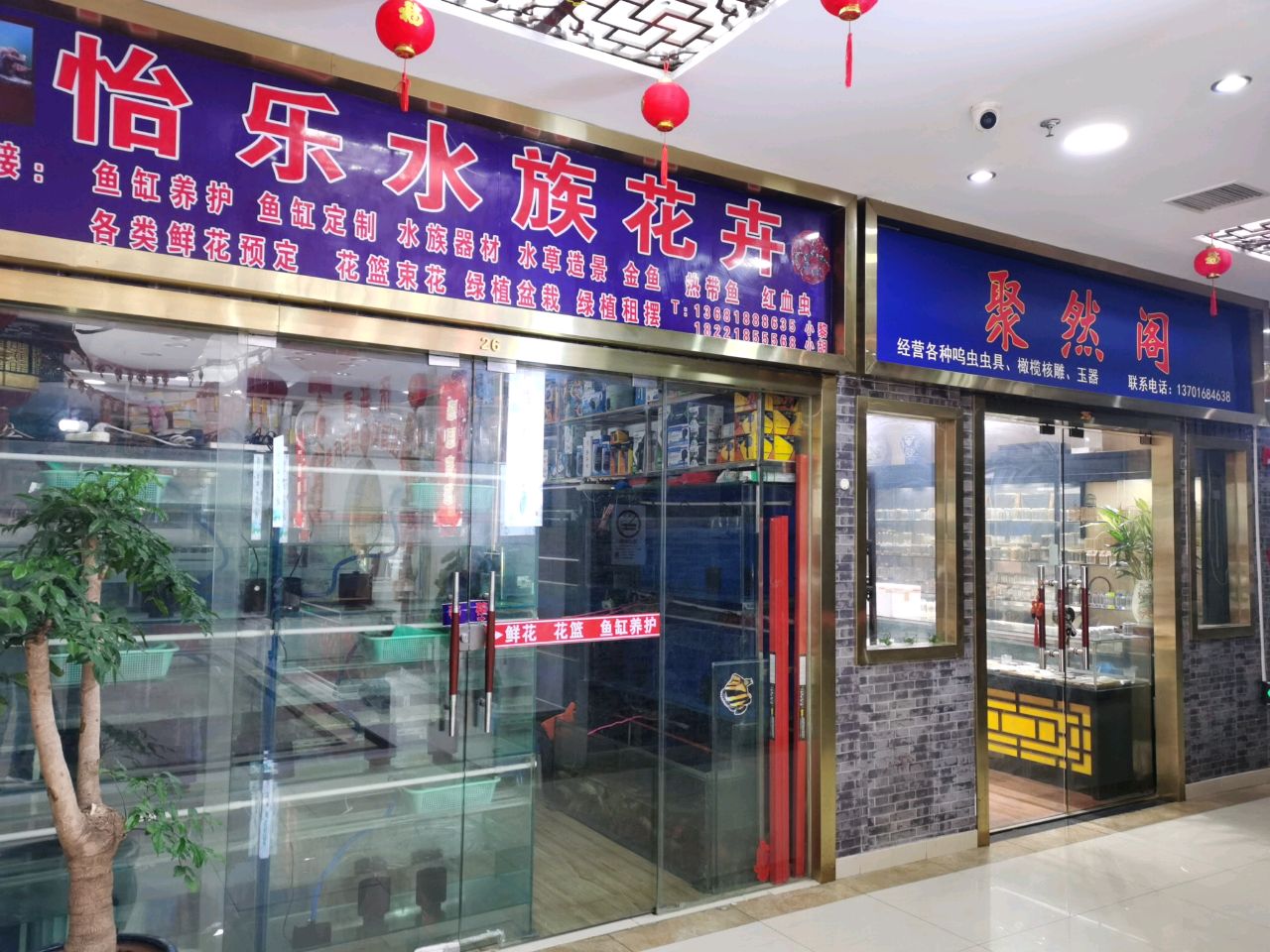 怡乐水族花卉(融凯工艺品茶城店)