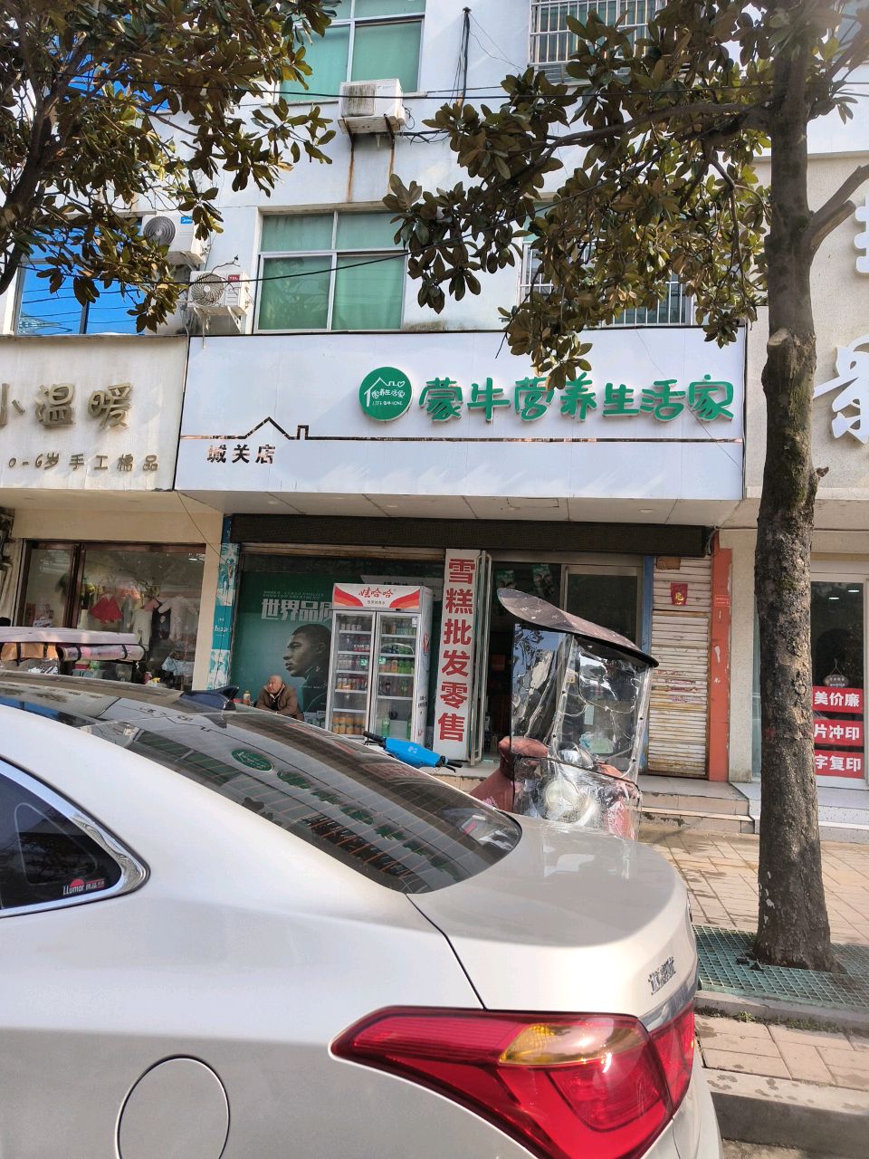 淮滨县蒙牛营养生活家(东大街店)